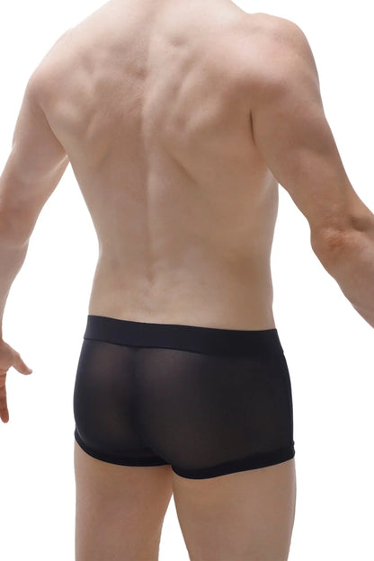 Black sheer mesh briefs with a solid black waistband from boxer cockring net black detachable collection