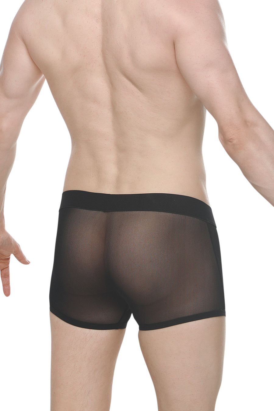 PetitQ Boxer Delle Net Reef Black