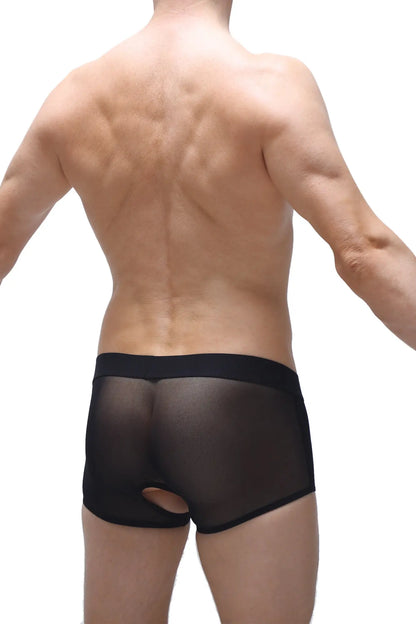 Black sheer mesh briefs boxer limay net camo with solid black waistband visible from front side