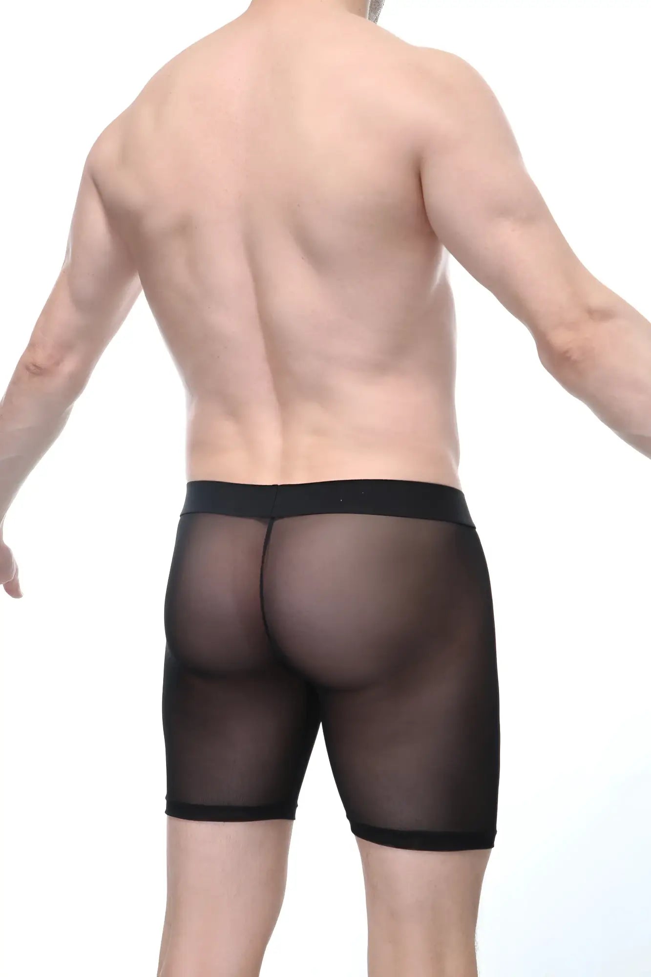 Black sheer mesh briefs boxer miniac black with solid black elastic waistband front view