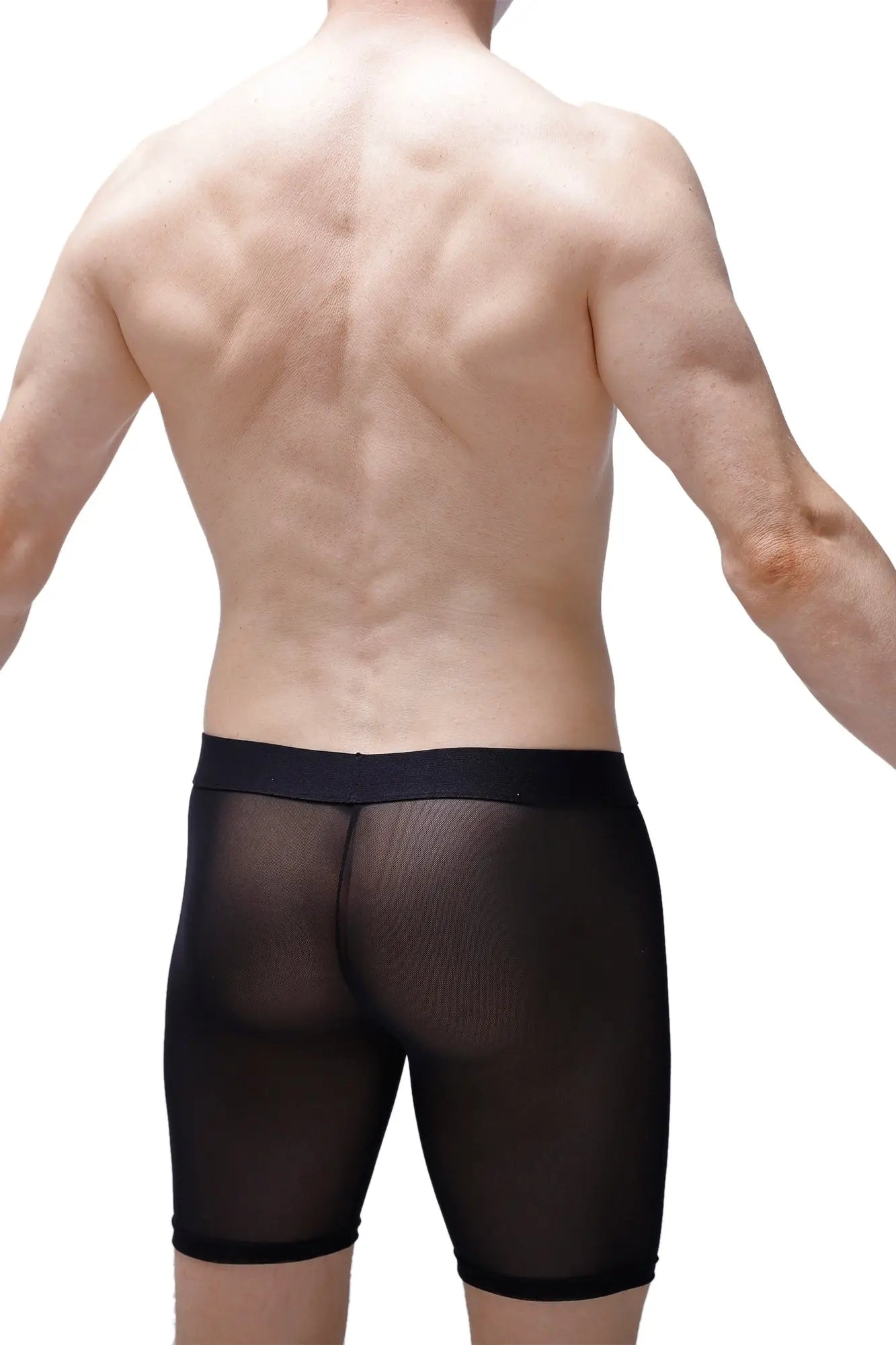 Boxer miniac black sheer mesh briefs in black with a solid waistband showing front view
