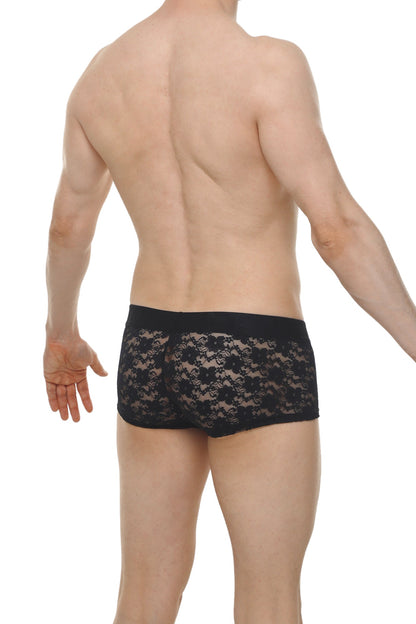 Black lace boxer briefs with solid black waistband from boxer algun lace black featuring sheer lace material