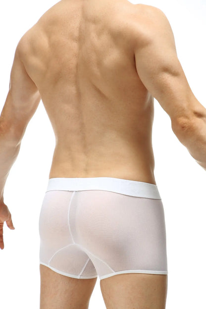White sheer men’s boxer briefs boxer percey stars with solid white waistband and breathable material