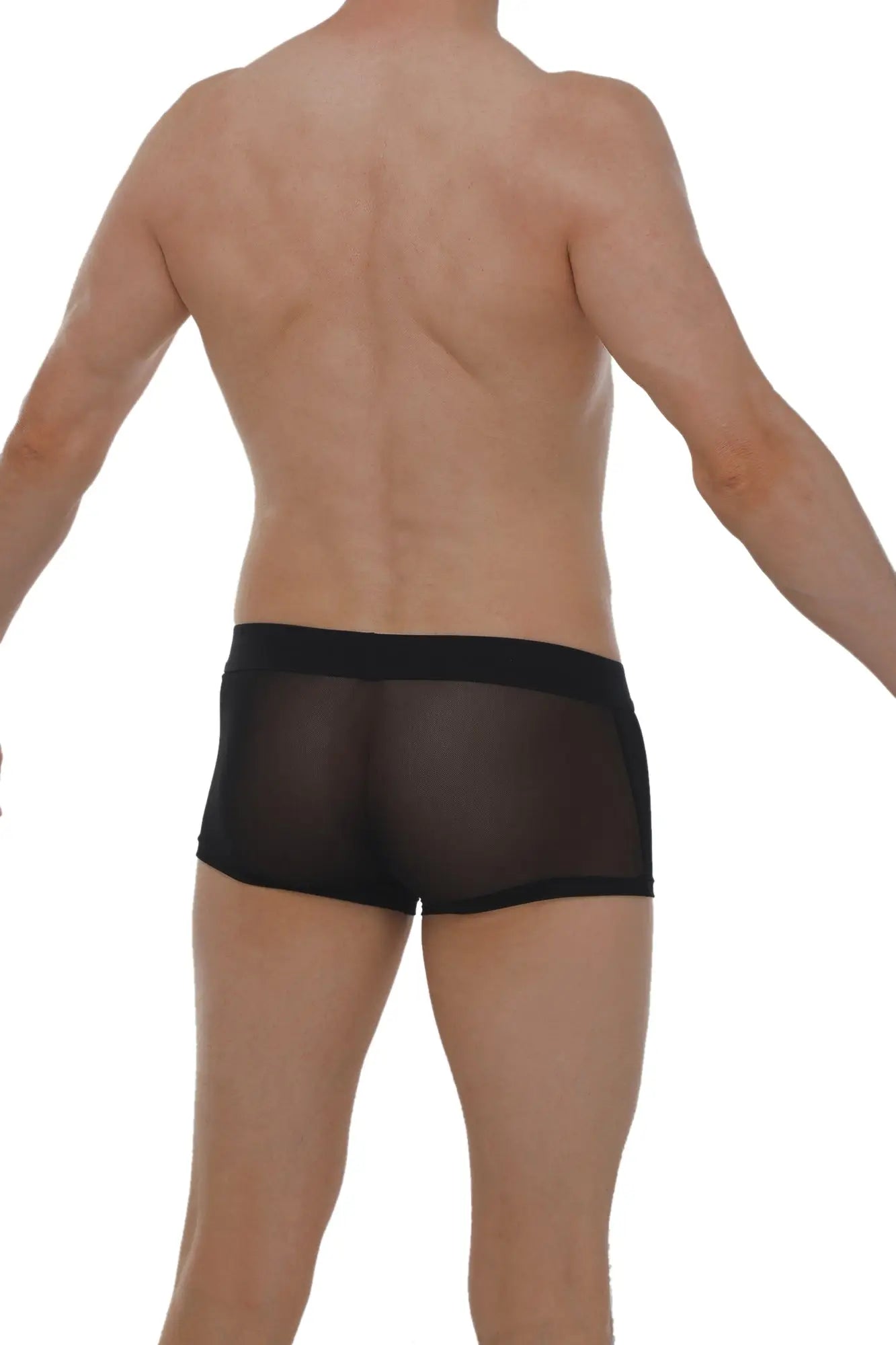 Black sheer mesh boxer petitq net briefs with a solid black waistband