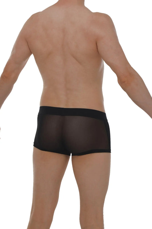 Black sheer mesh boxer petitq net briefs with a solid black waistband