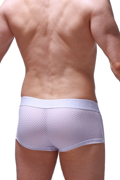 White mesh boxer reotier bee briefs with a solid waistband designed for comfort and breathability