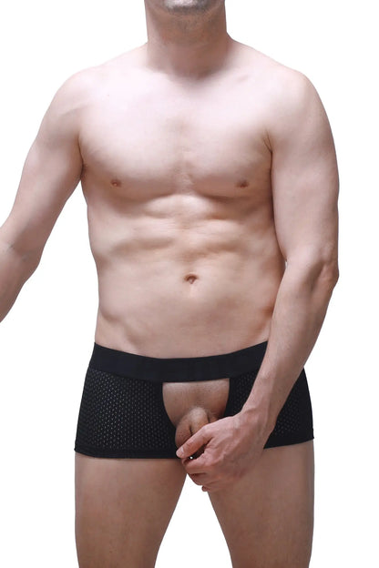 Black mesh boxer sling melin boudoir briefs with solid waistband and open front design for sensual wear