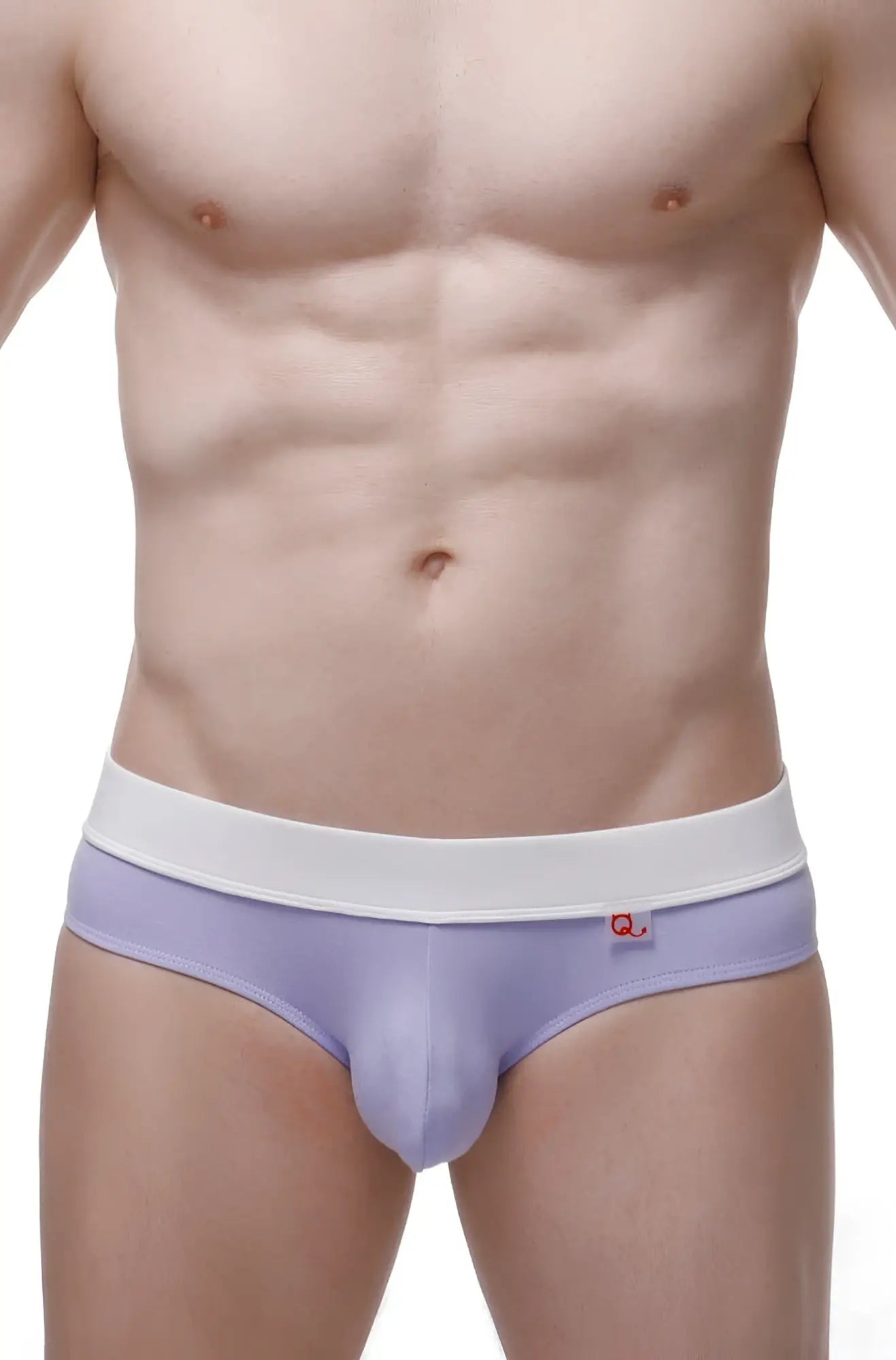 Lavender brief céron bamboo purple men’s briefs with white elastic waistband and small red logo on the side