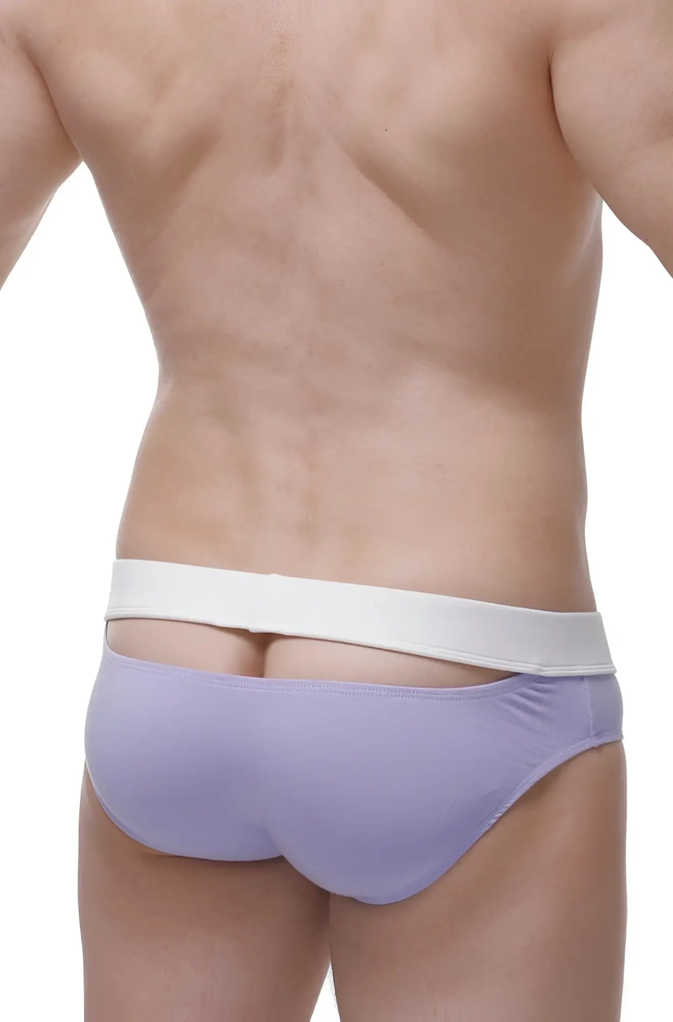 Lavender-colored bamboo briefs with a white elastic waistband in brief céron bamboo purple product image