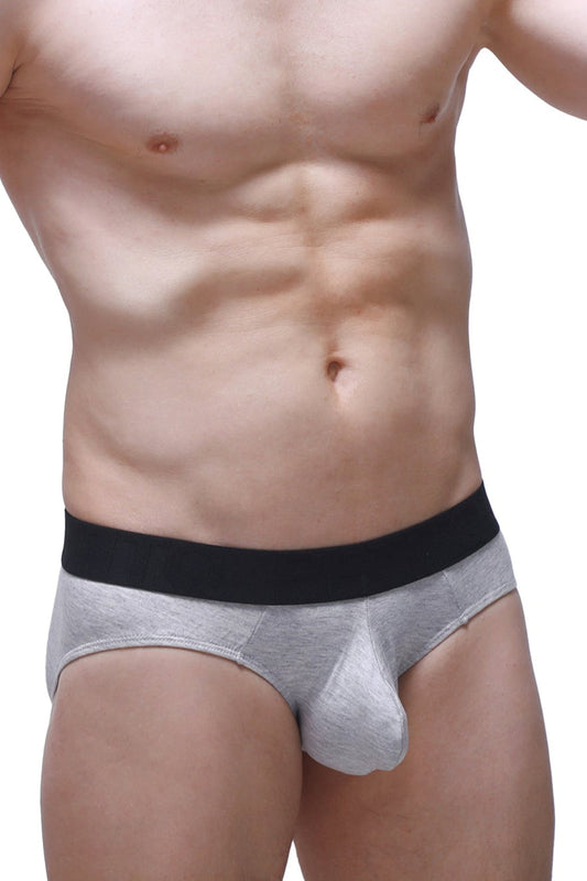 PetitQ Brief Dome Modal Gray