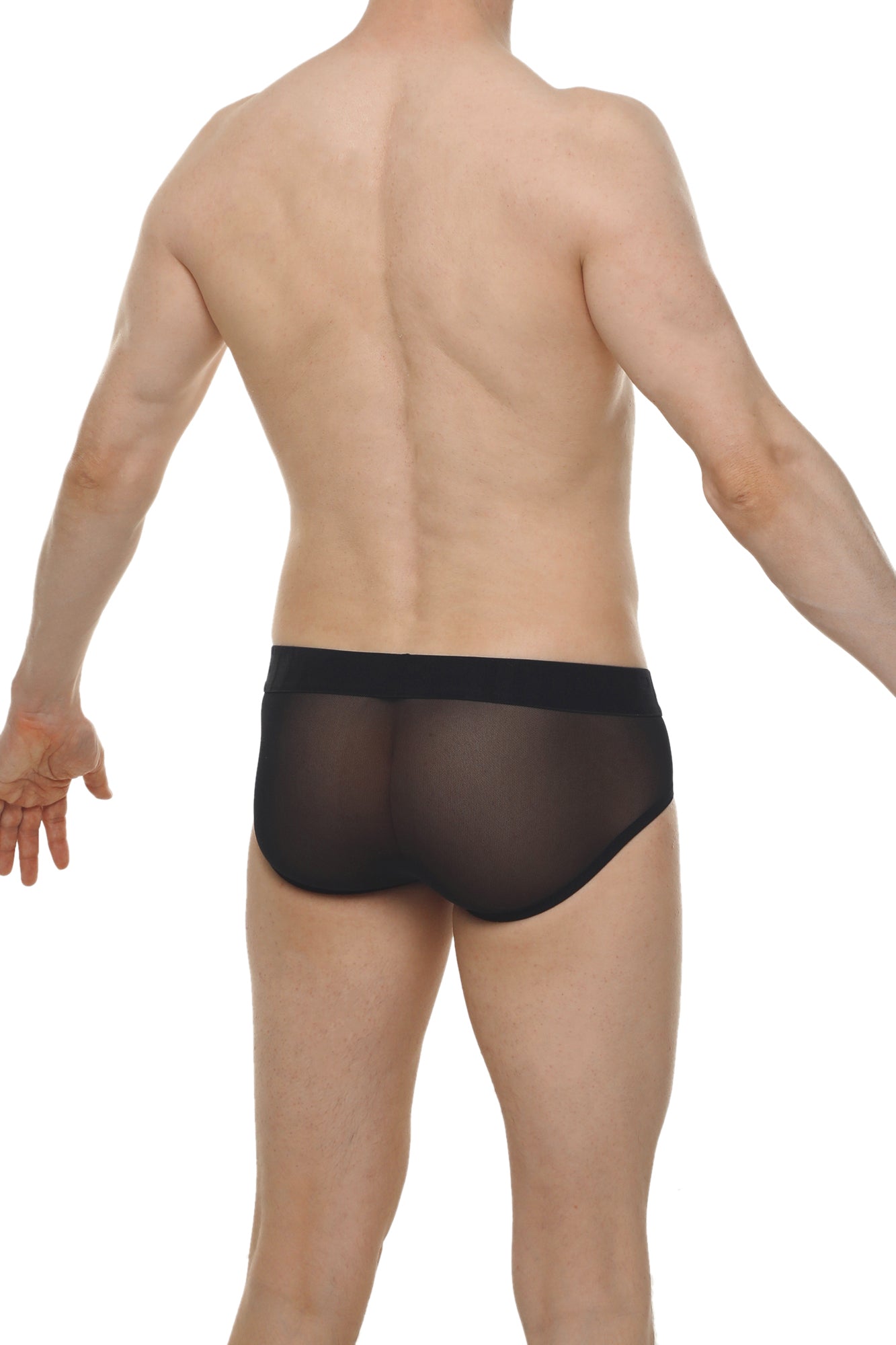Black sheer mesh briefs lescar black with solid black waistband for comfortable everyday wear