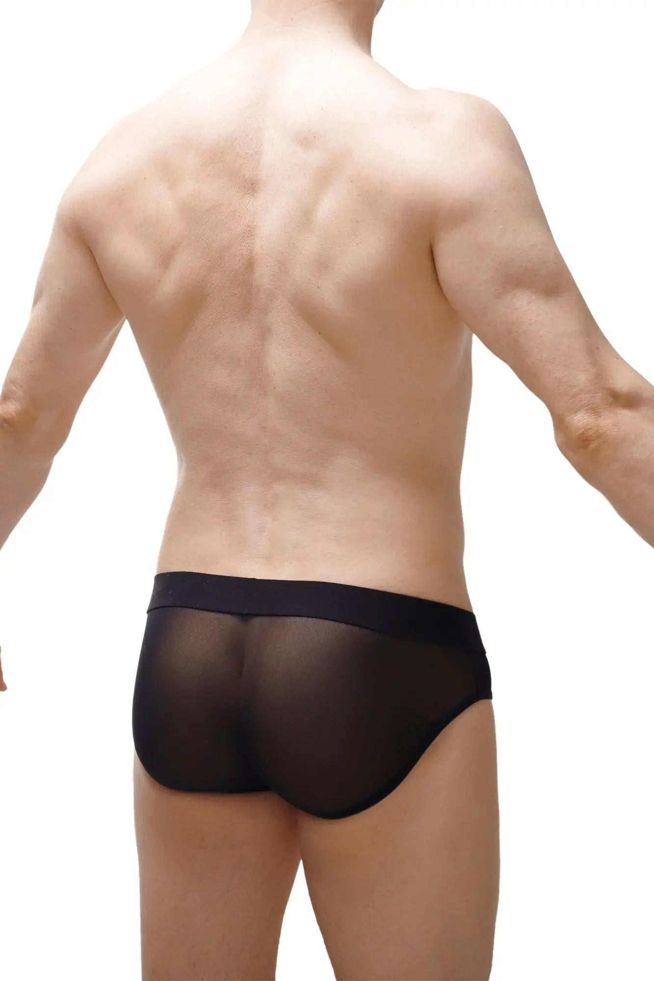 Black sheer mesh briefs with solid black waistband from brief nouans leopard rainbow collection front view