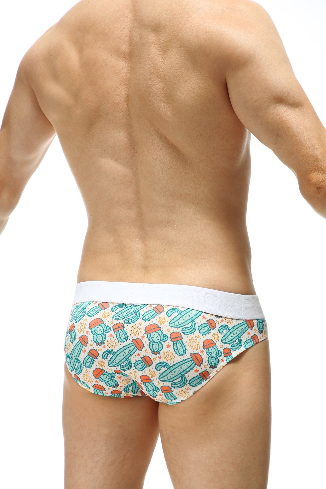 Slip Protruder Kaktus