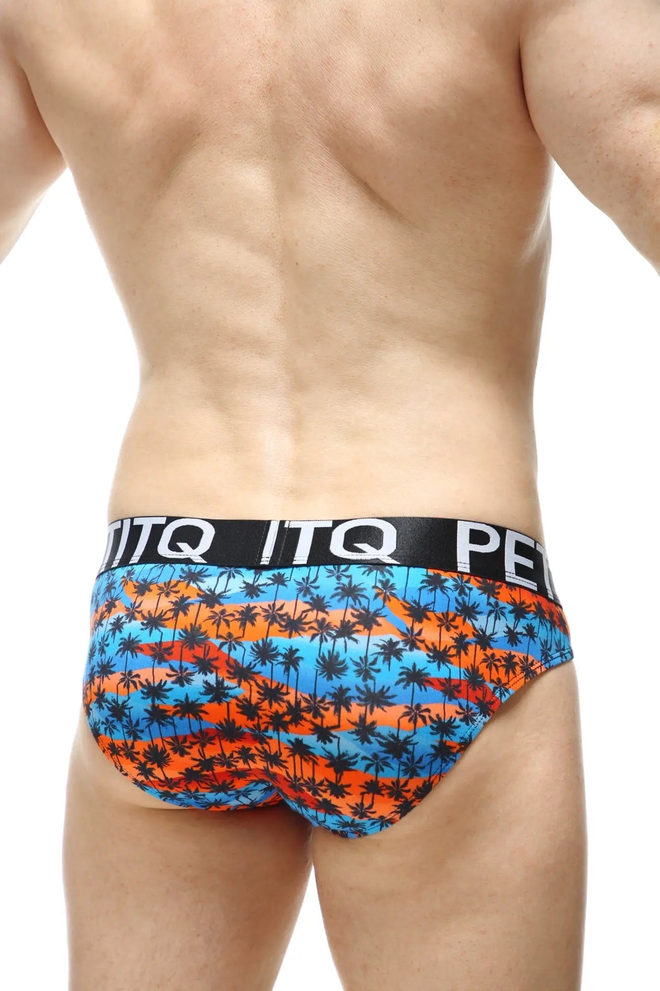 Brief protruder temae swim trunks with vibrant blue and orange stripes black palm tree pattern and black itq waistband