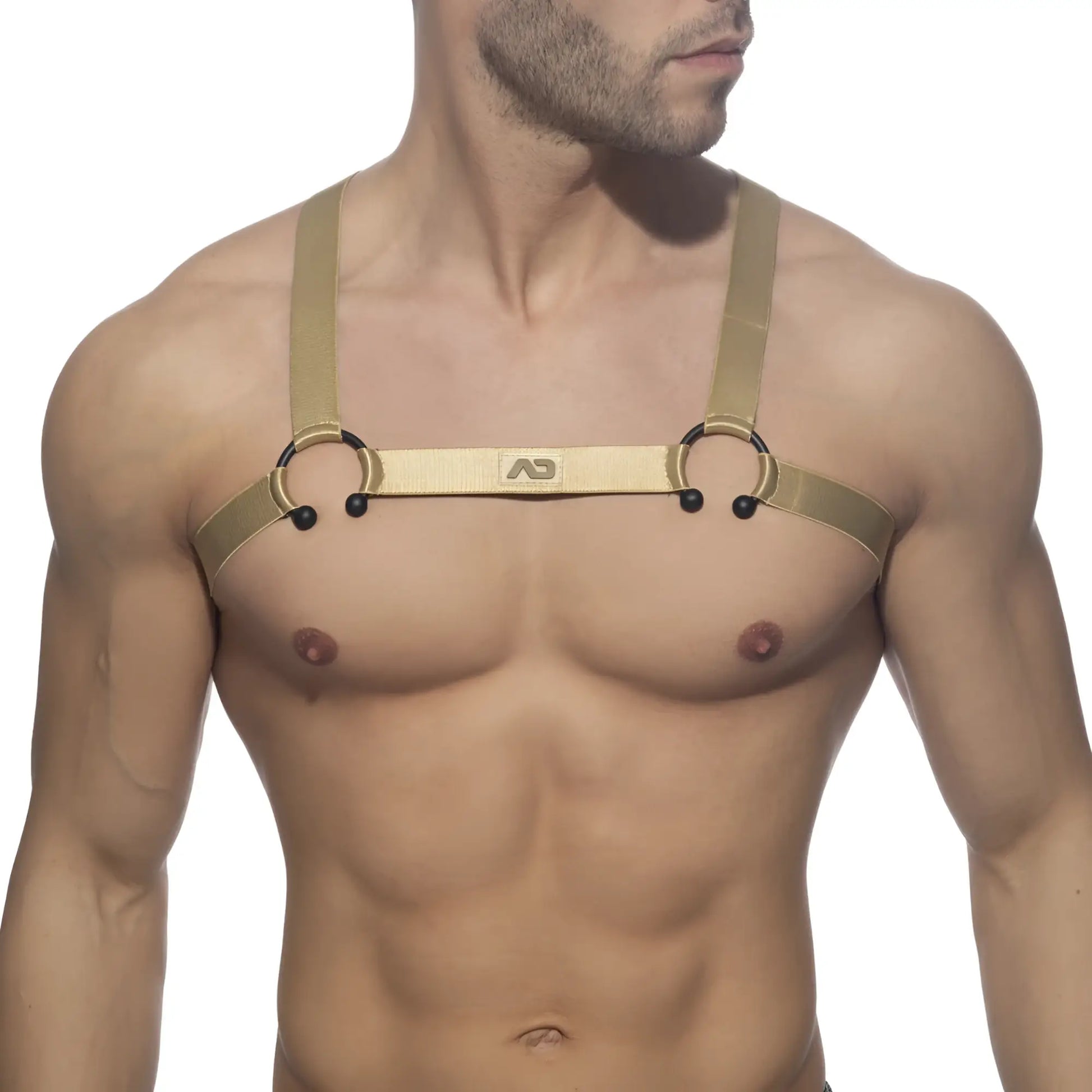 Gold-colored leather bull ring harness with black spherical accents and a central branded strap