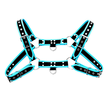 Black and turquoise leather bulldog harness with piping and silver toned metal hardware shown from the back side