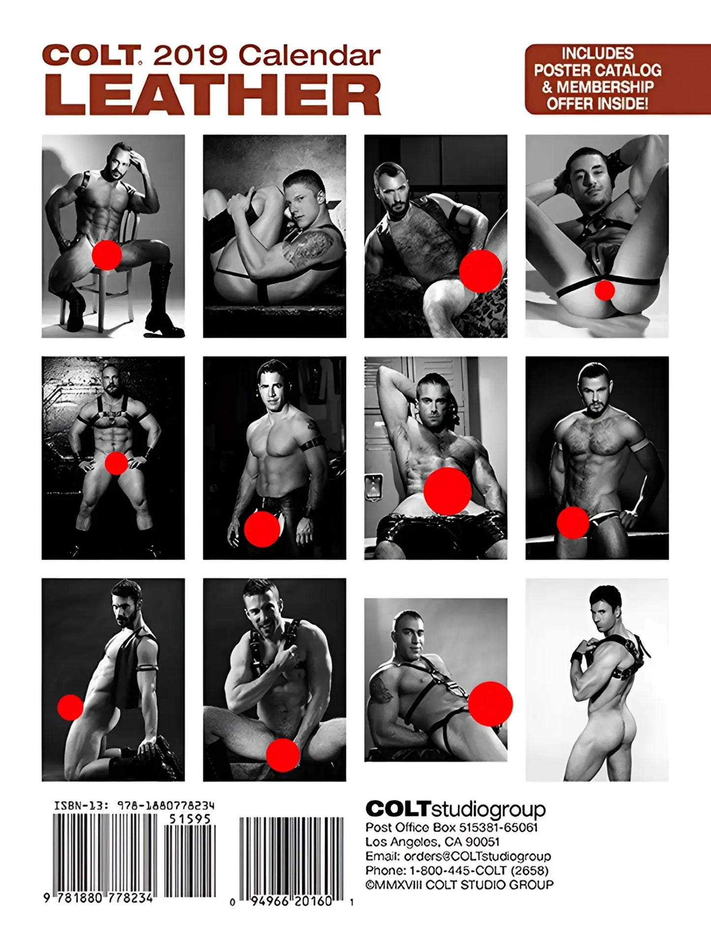 2019 colt leather calendar featuring black and white photos of muscular men in leather harnesses and lingerie