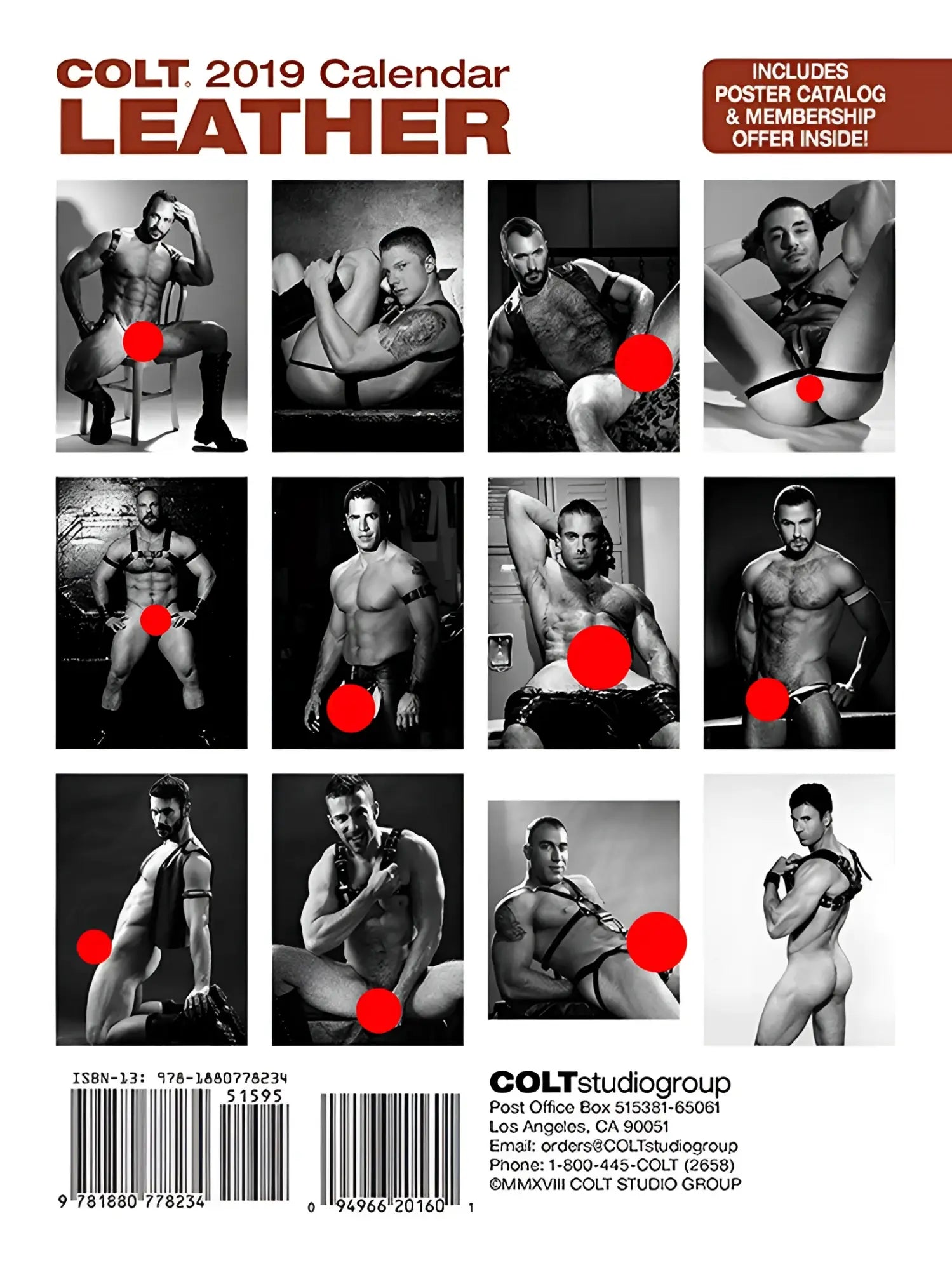 2019 colt leather calendar featuring black and white photos of muscular men in leather harnesses and lingerie