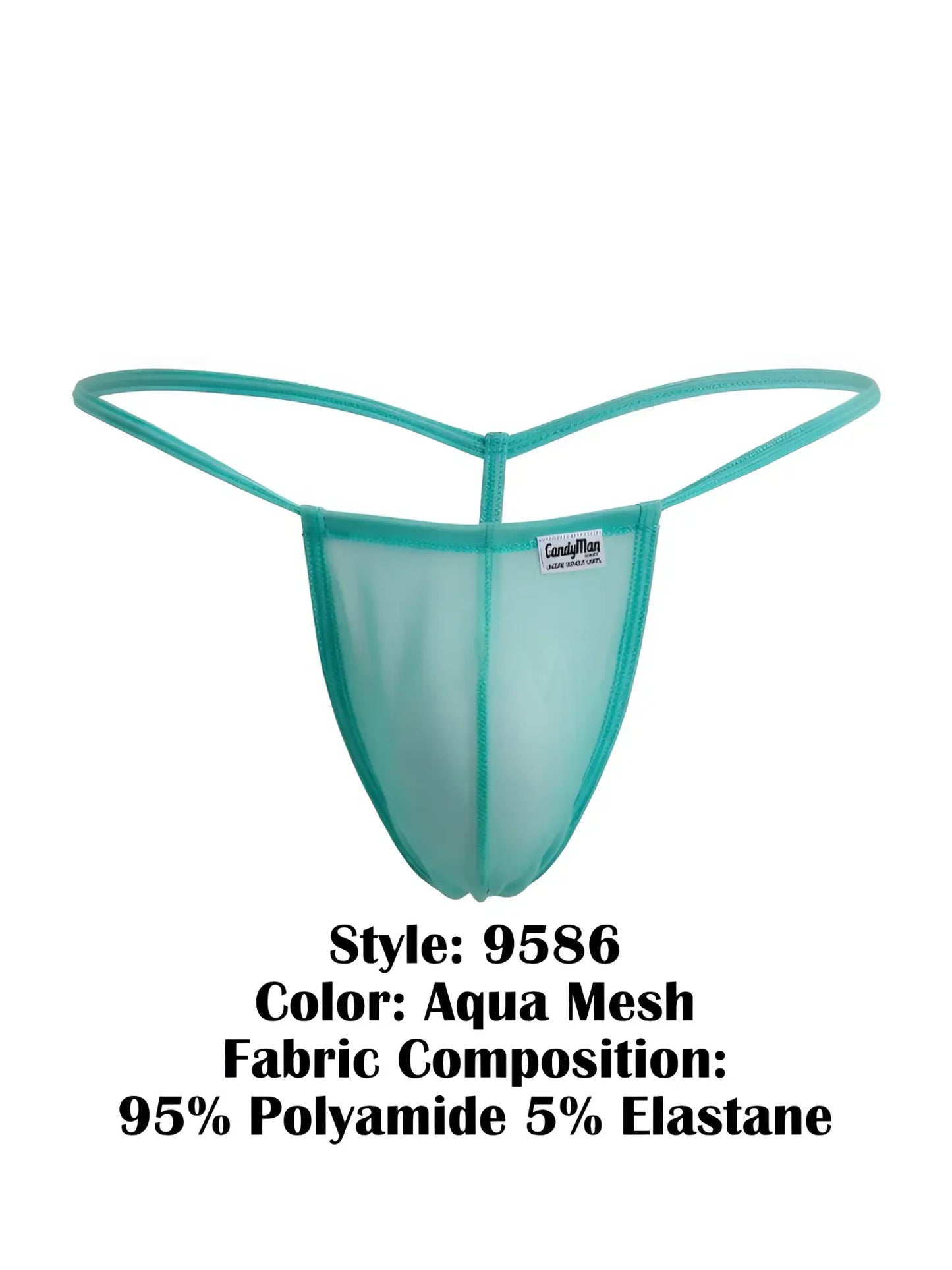 CandyMan 9586 g-string aqua mesh thong in sheer translucent teal with thin elastic straps and snug fit shown from back