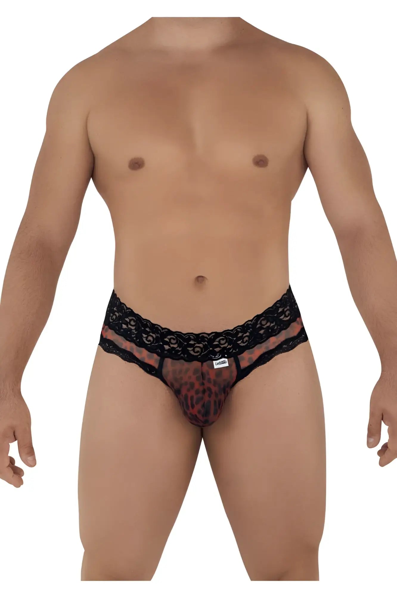 Black lace-trimmed men’s briefs with sheer leopard-print mesh front from candyman 99596 mesh-lace thongs