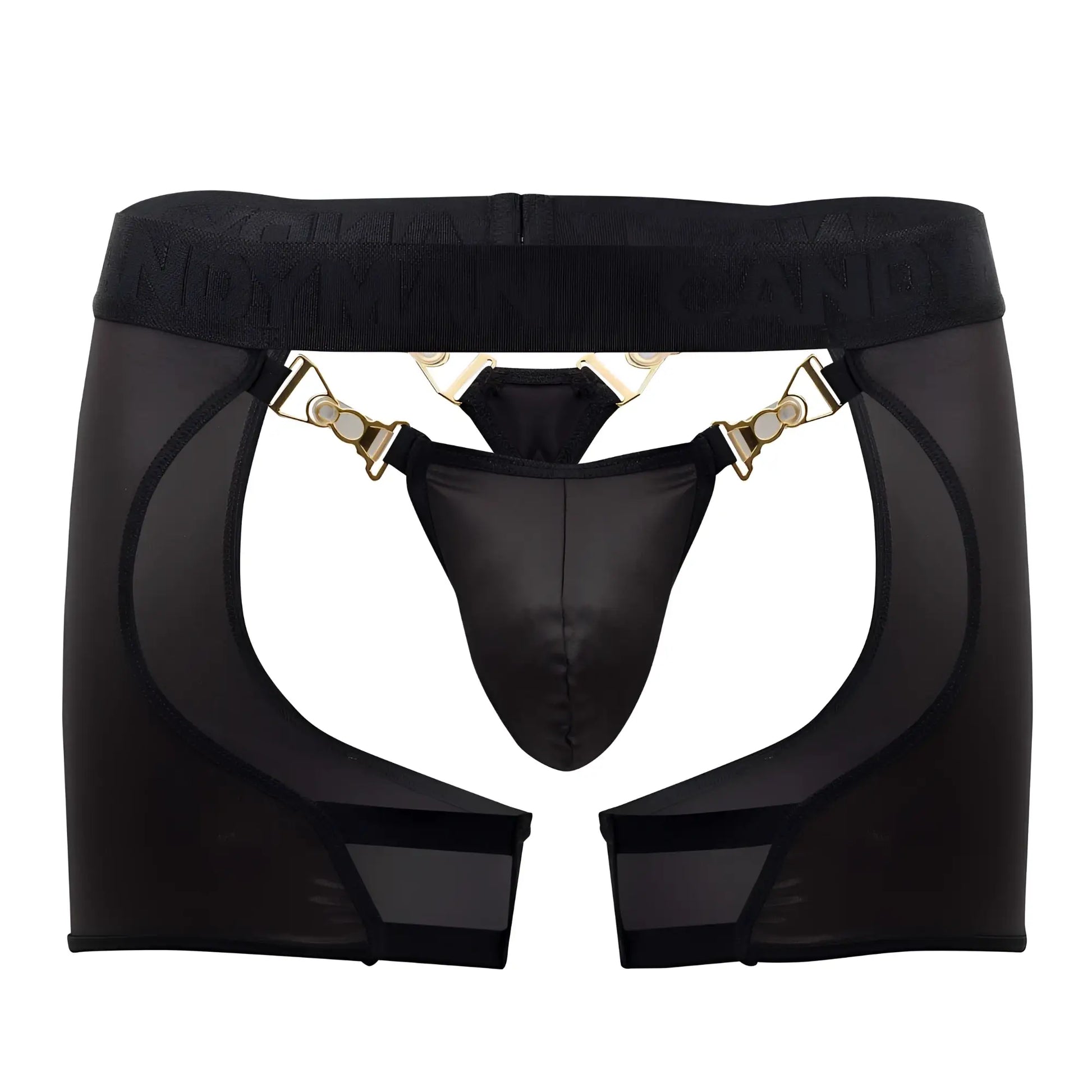 Black sheer mesh garter belt with gold-tone metal clasps and matching black thong candyMan 99637 chaps thongs black