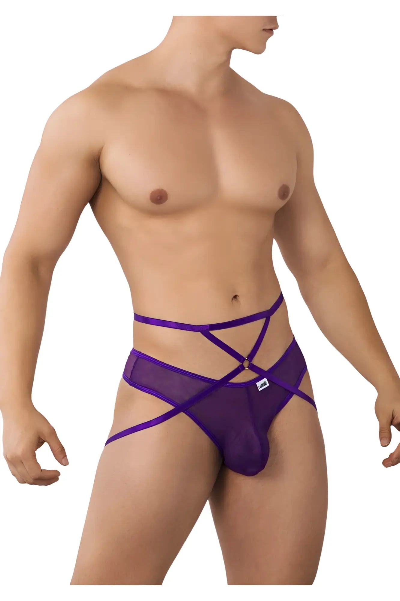 Purple CandyMan 99640 mesh men’s briefs with crisscross straps and central clasp in front view