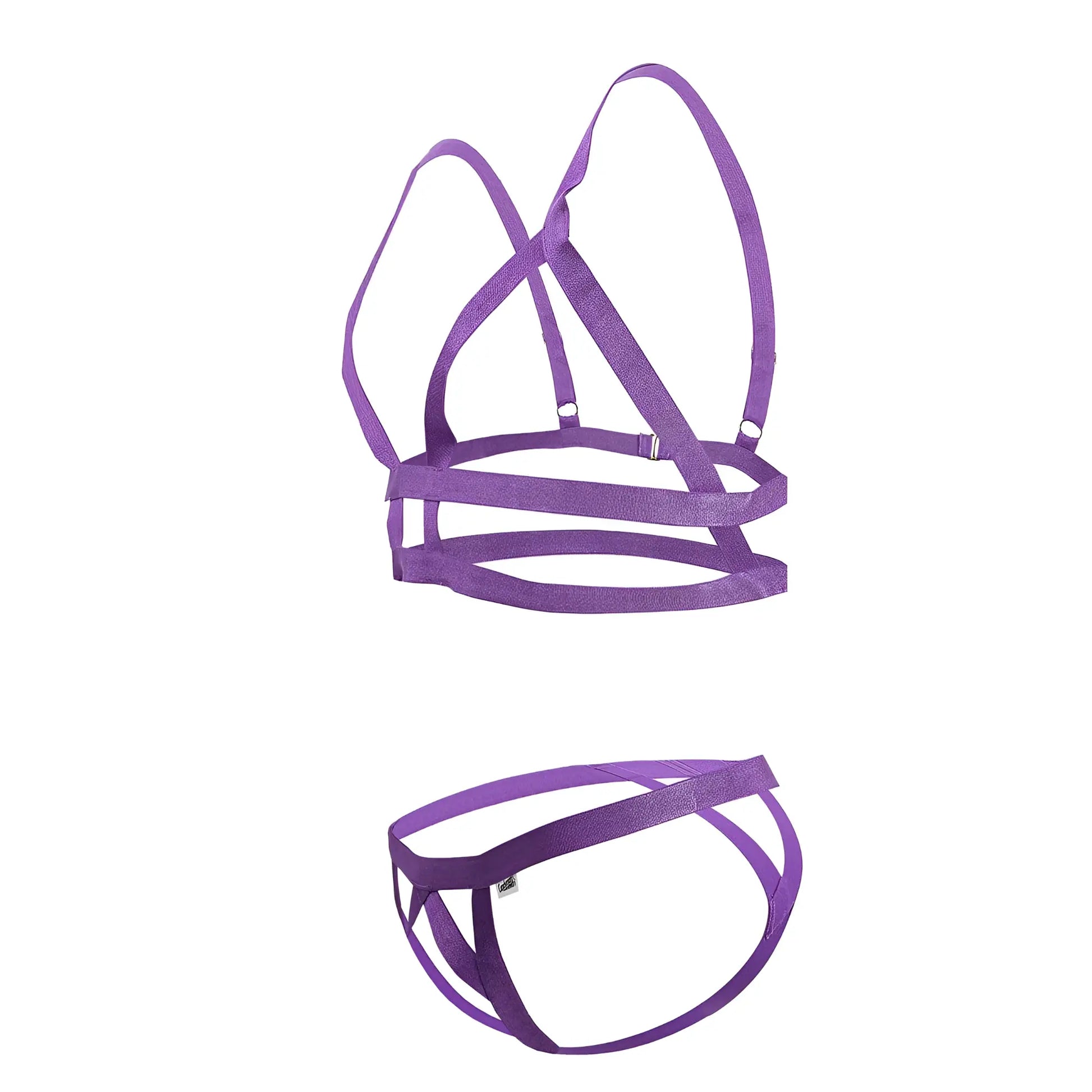 Purple satin harness set with adjustable straps and metallic clasps in candy man 99822 two piece outfit color violet