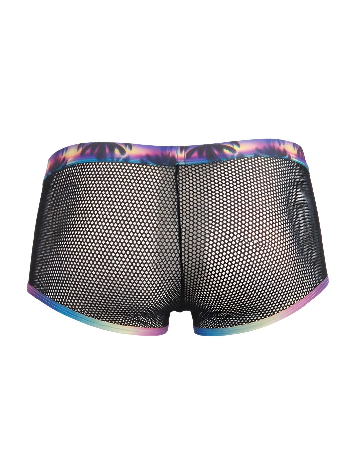 Black mesh briefs with a vibrant, iridescent rainbow trim along the waistband and leg openings.