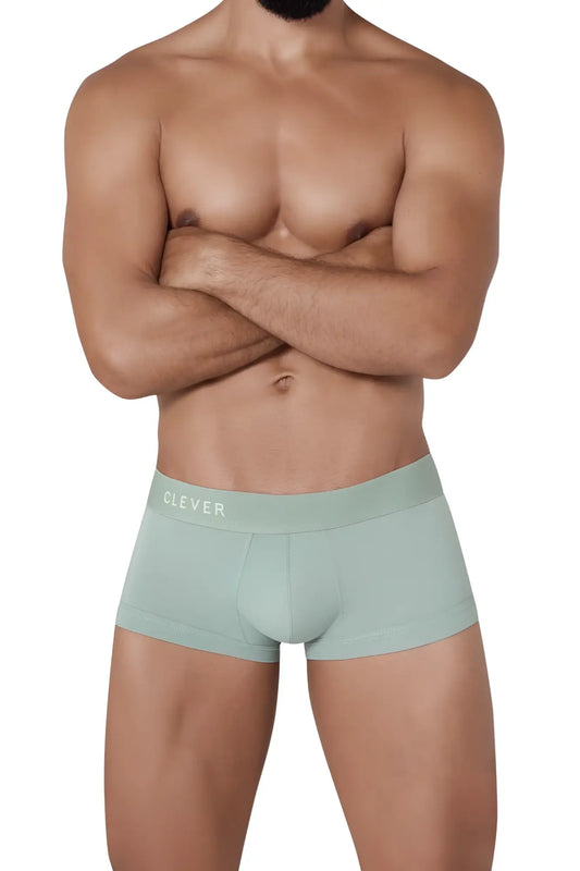 Mint green cotton clever 1306 tribe trunks briefs with subtle clever logo on the waistband front side visible