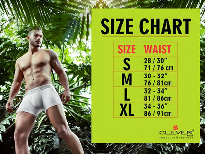 White boxer briefs with a subtle elastic waistband featuring the clever brand logo in dark blue color