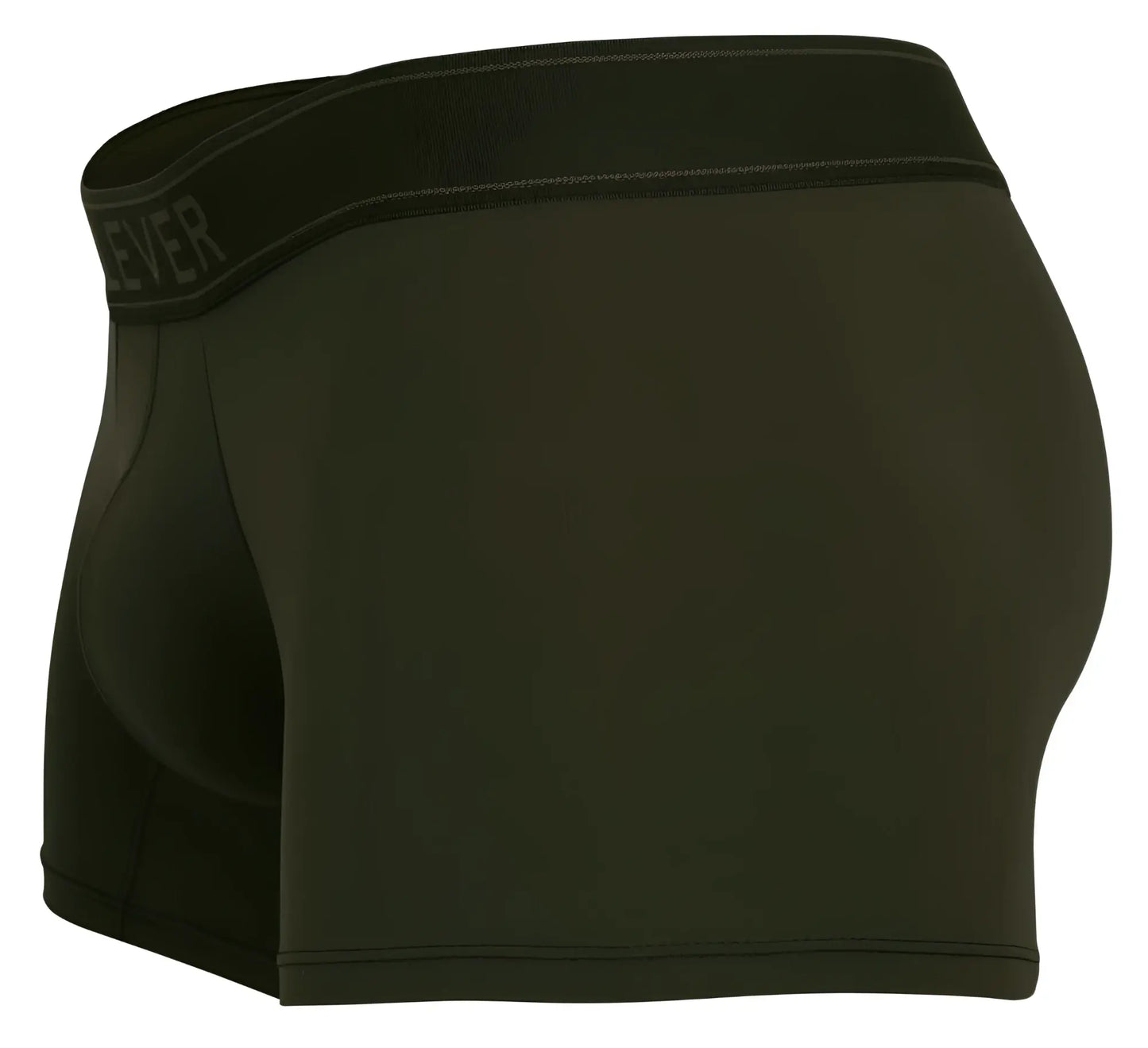 Black everlane boxer briefs with smooth form-fitting fabric and subtle waistband branding in clever 1668 britanica green color