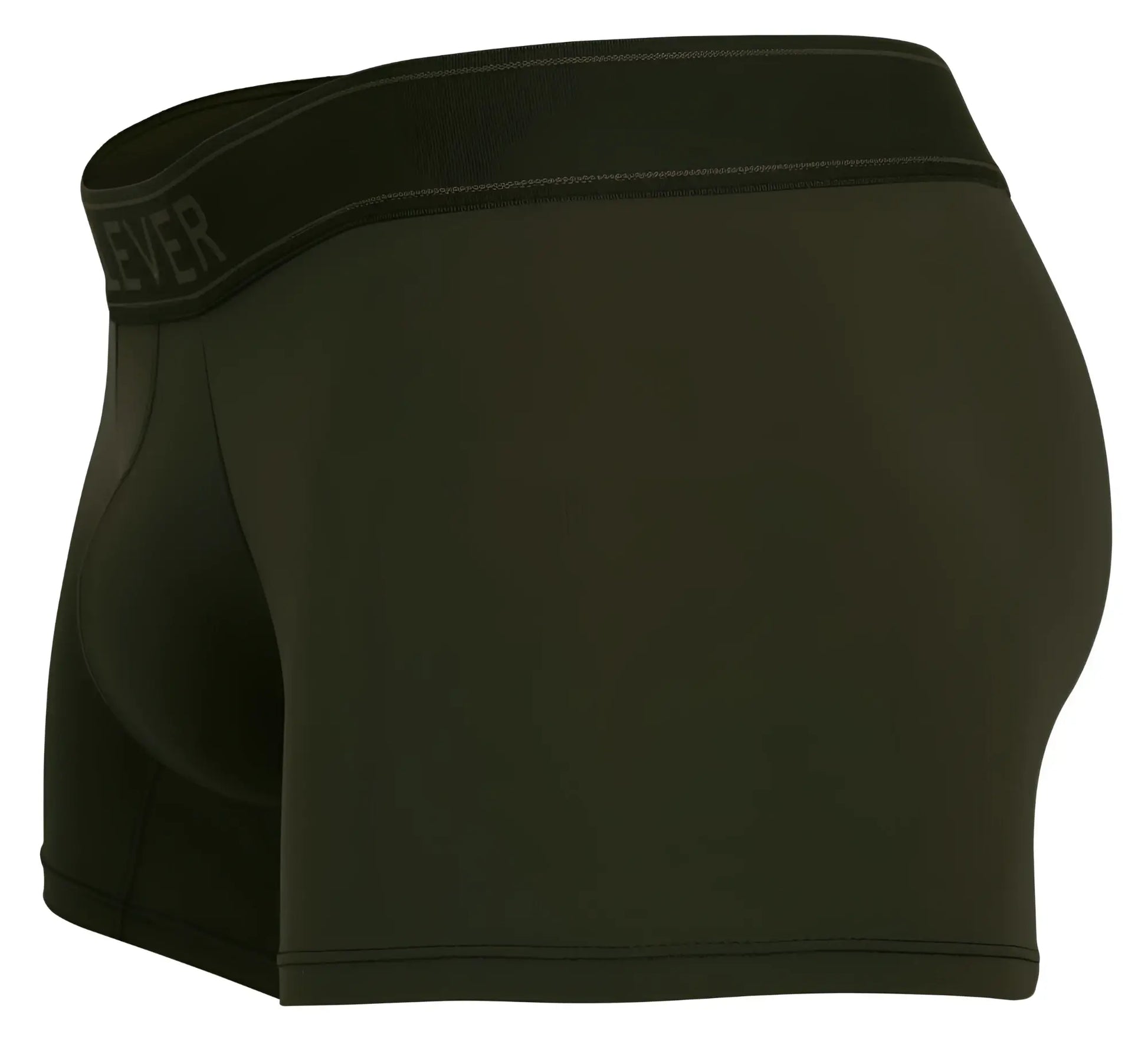 Black everlane boxer briefs with smooth form-fitting fabric and subtle waistband branding in clever 1668 britanica green color