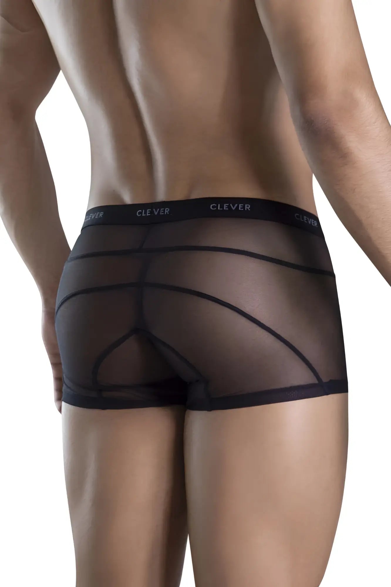 Black sheer mesh clever 1673 legend trunks briefs with black elastic waistband and white clever print