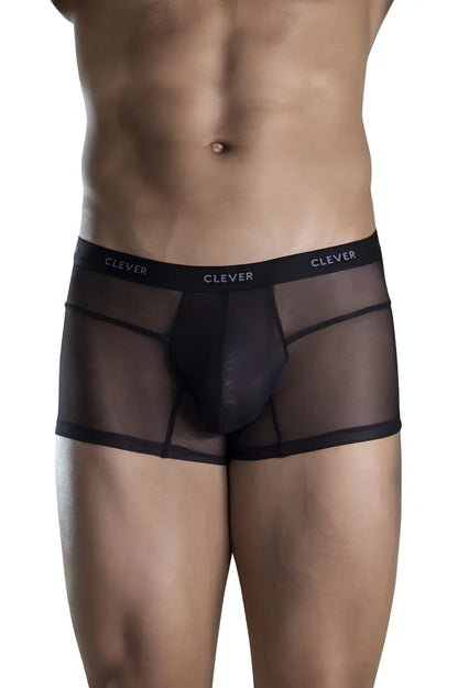 Black sheer mesh briefs with solid inner panel and elastic waistband featuring clever brand name color black