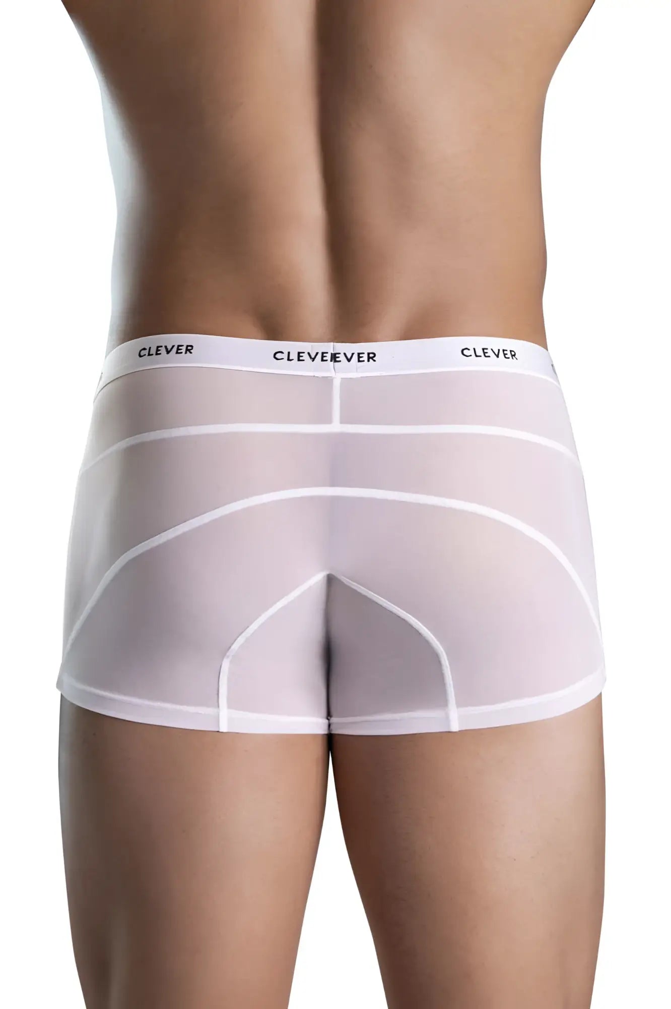 White sheer men’s briefs with subtle white elastic waistband featuring clever brand name repeated in clever 1673 legend trunks color white