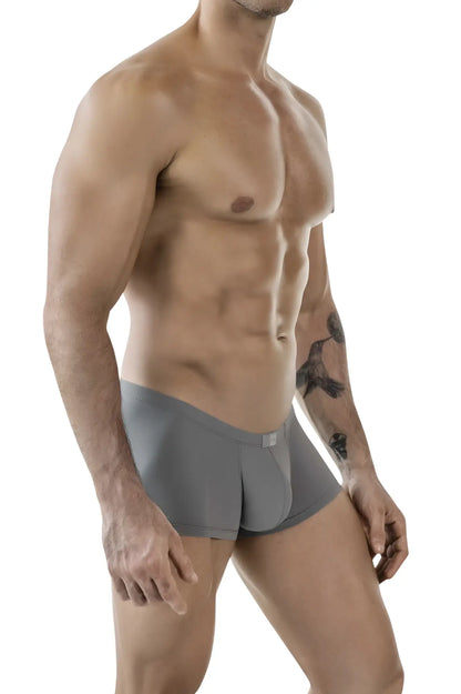 Gray clever 1842 buenavista trunks boxer briefs with sleek modern design and subtle brand tag on waistband