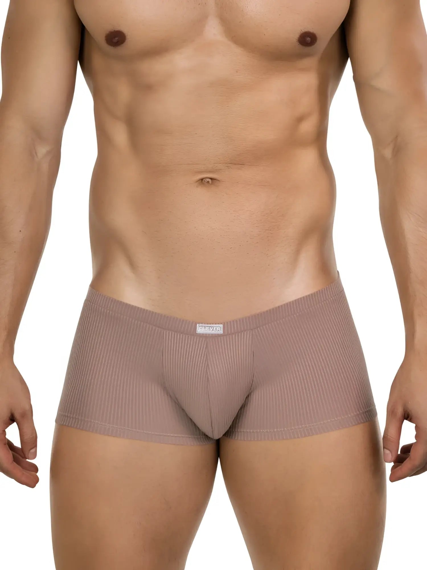 Beige ribbed men’s briefs with a subtle textured pattern and branded waistband label from clever 26015 apolo trunks