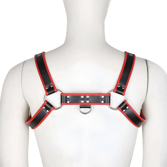Black and red leather contrast trim harness with silver metal hardware for adjustable support and style