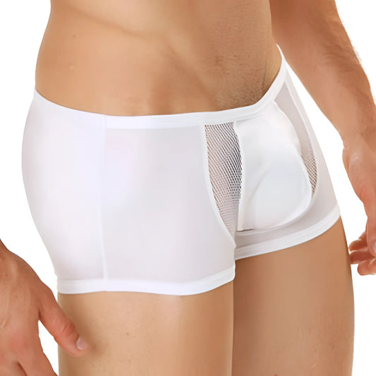 White mesh briefs cover male CM206 boxer brief with solid white front panel and transparent side panels