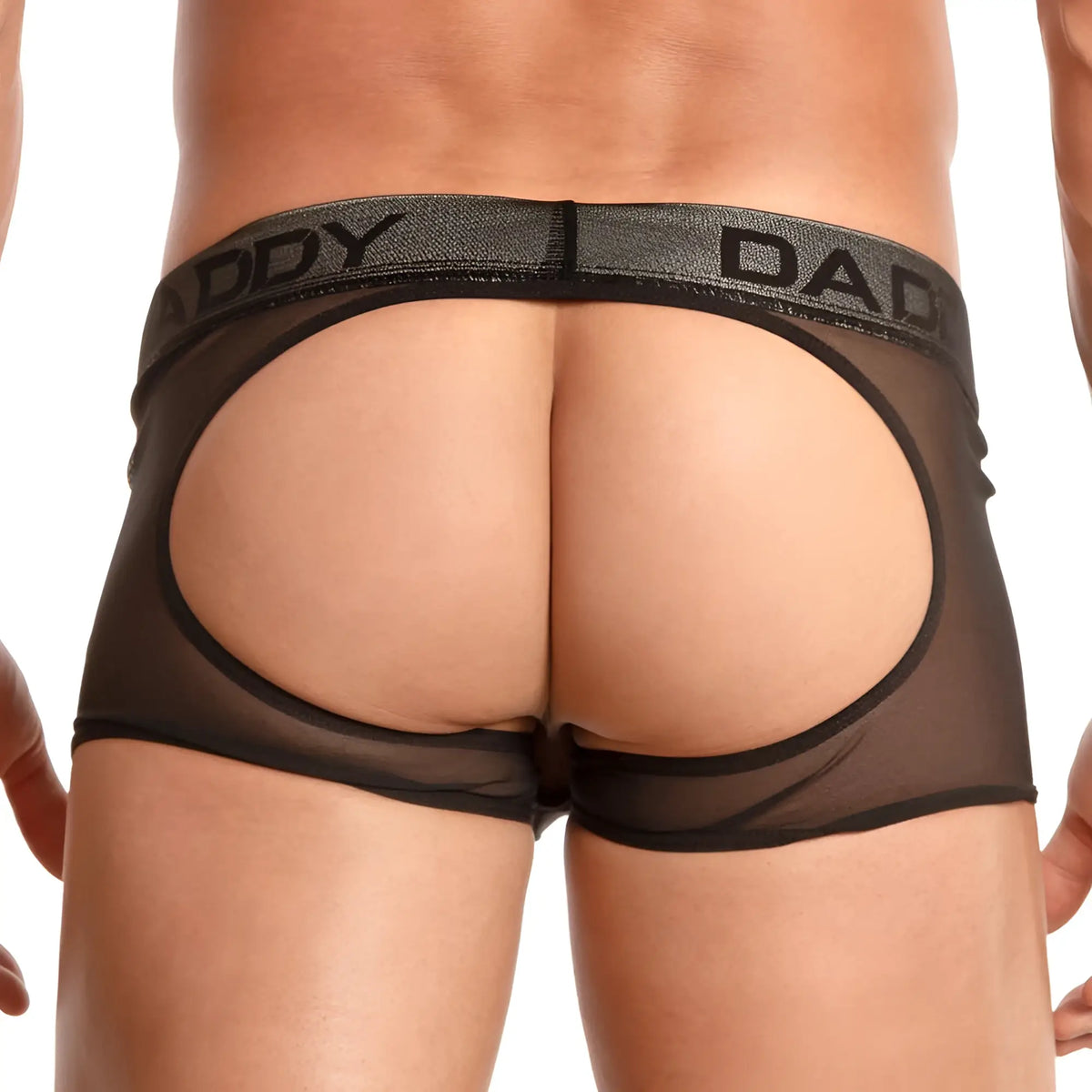 Black sheer mesh briefs with bold daddy logo waistband in Daddy DDE036 jockstrap product front view