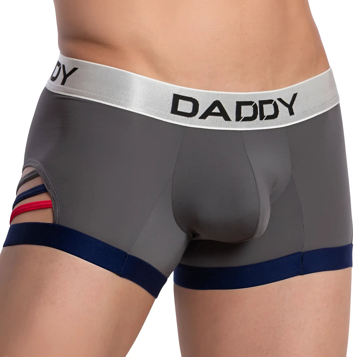 Gray daddy DDG008 boxer trunk with silver waistband navy trim and colorful striped side cutouts for men