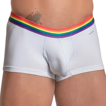White daddy brand briefs with rainbow-striped elastic waistband in daddy ddg011 boxer style