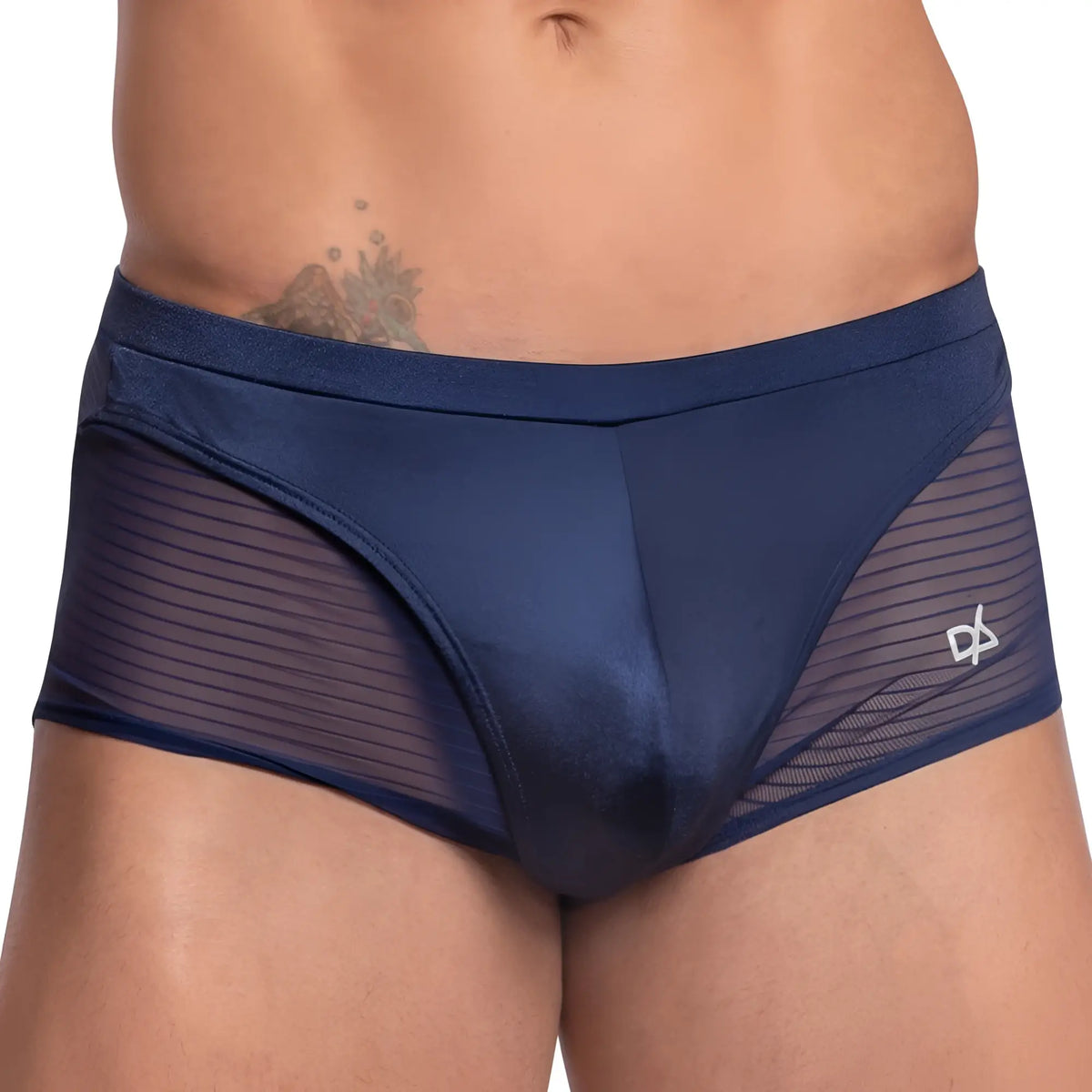 Daniel Alexander DAG009 boxer trunk navy blue sheer mesh briefs with satin-like finish and white logo on side
