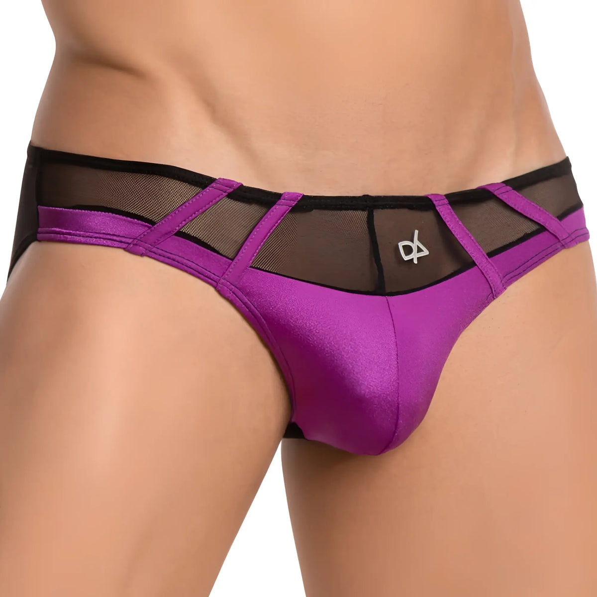 Daniel Alexander DAI070 bikini brief purple and black mesh thong with shiny satin fabric and small white front logo