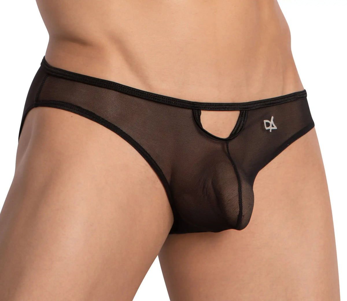 Black sheer mesh Daniel Alexander DAI099 bikini briefs with cutout design and black trim front view