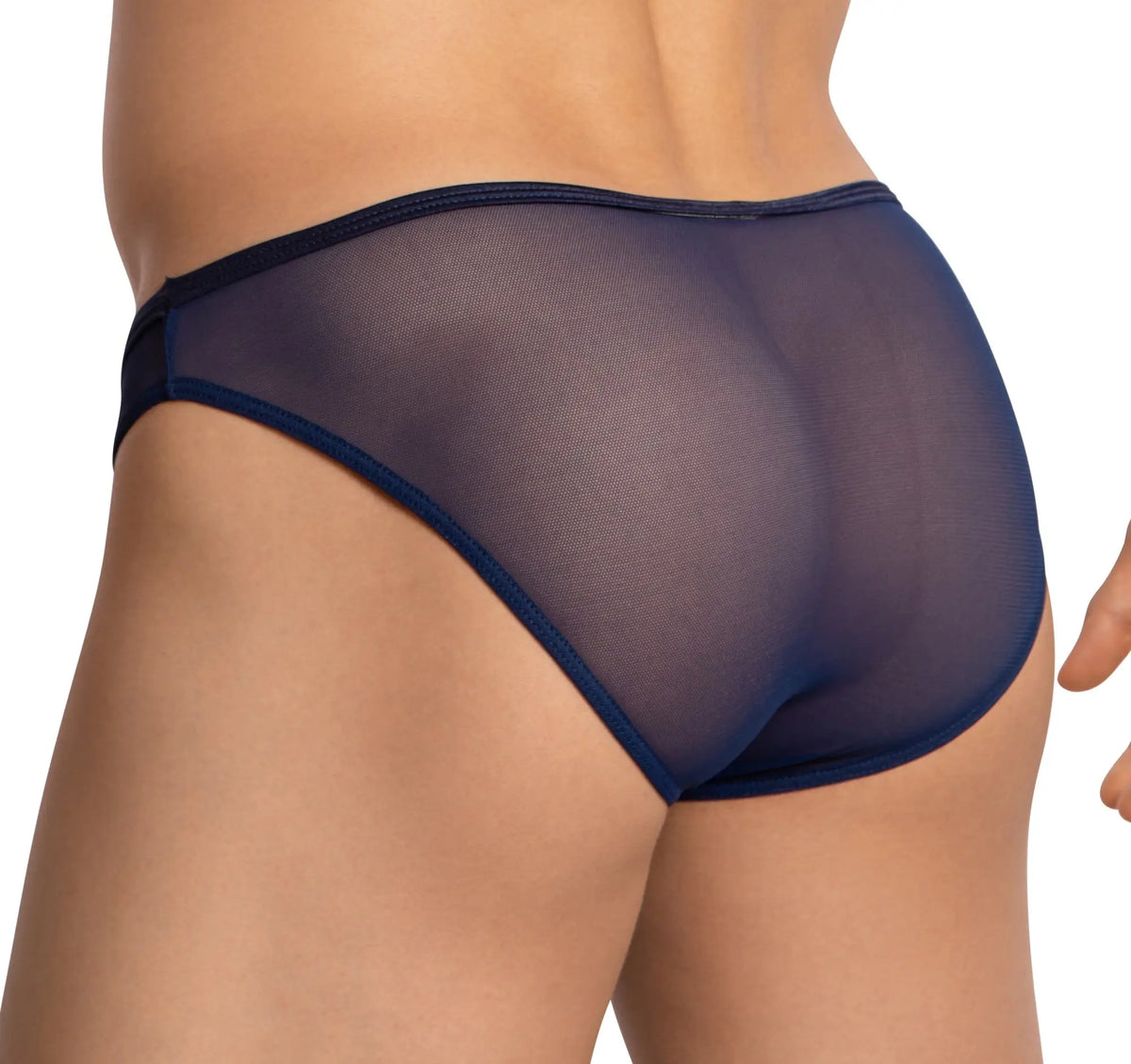 Navy blue sheer mesh Daniel Alexander DAI099 bikini brief with solid fabric trim shown from the back side