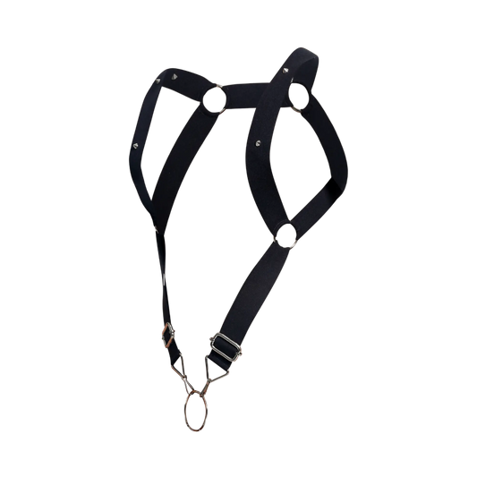 DnGeon straight back harness made of black leather with silver metal hardware and adjustable straps shown from back side