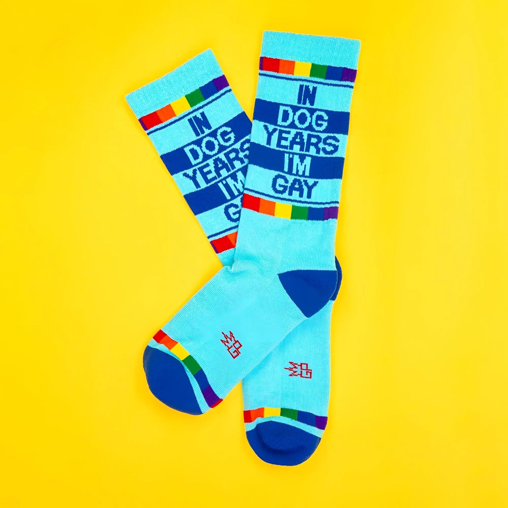 Light blue crew socks with bold navy stripes rainbow accents and navy lettering saying in dog years im gay
