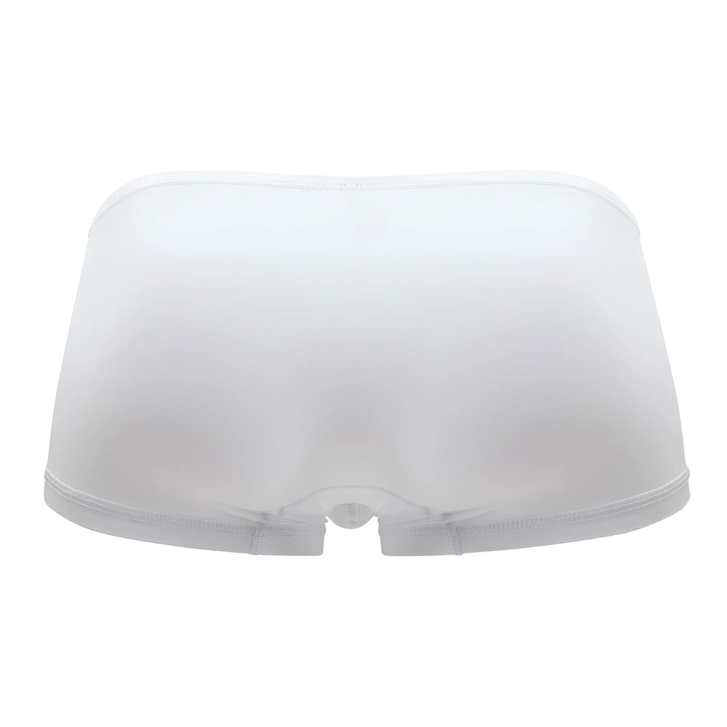ErgoWear ew1167 x4d white sheer mesh briefs with smooth seamless design and elastic waistband front side view