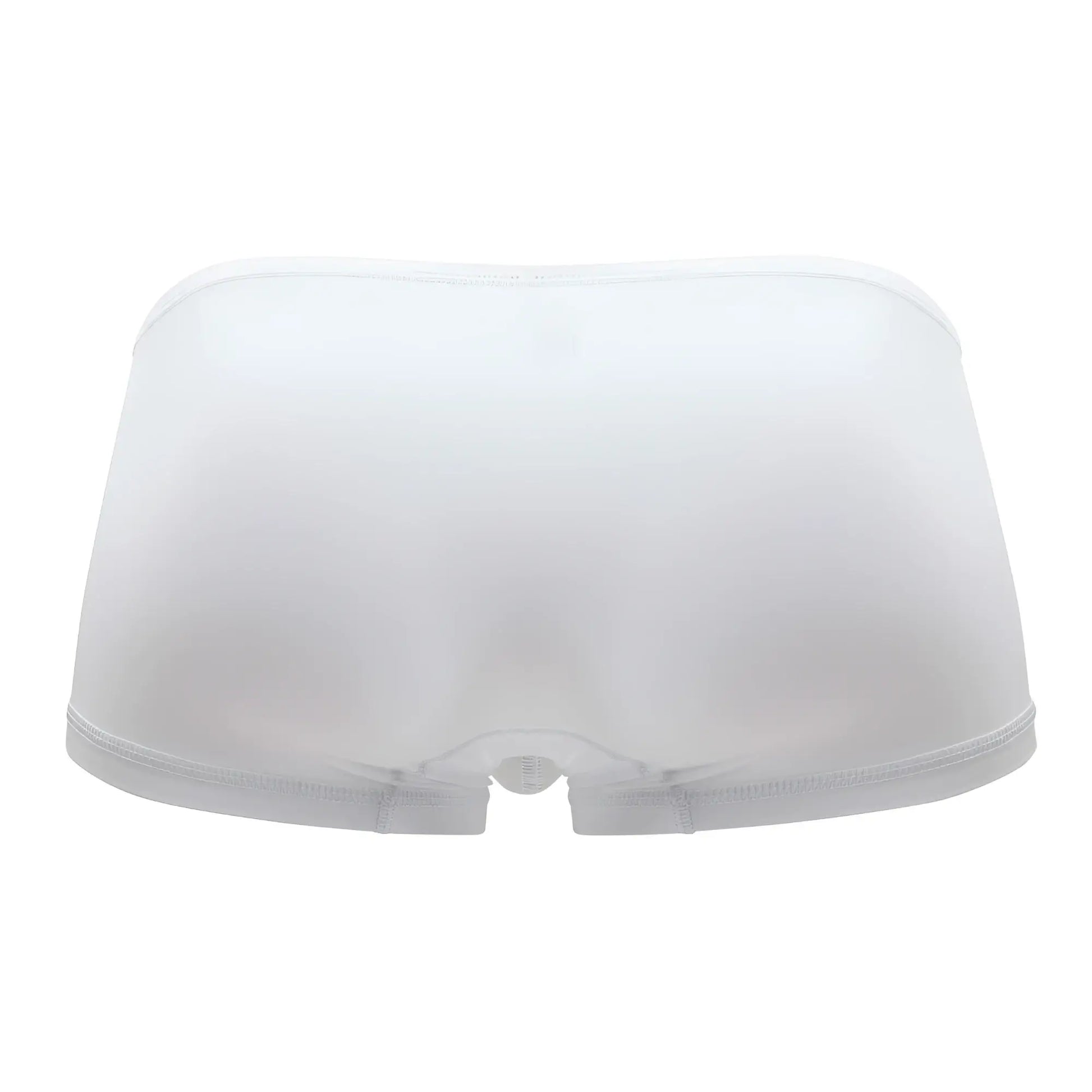 ErgoWear ew1167 x4d white sheer mesh briefs with smooth seamless design and elastic waistband front side view
